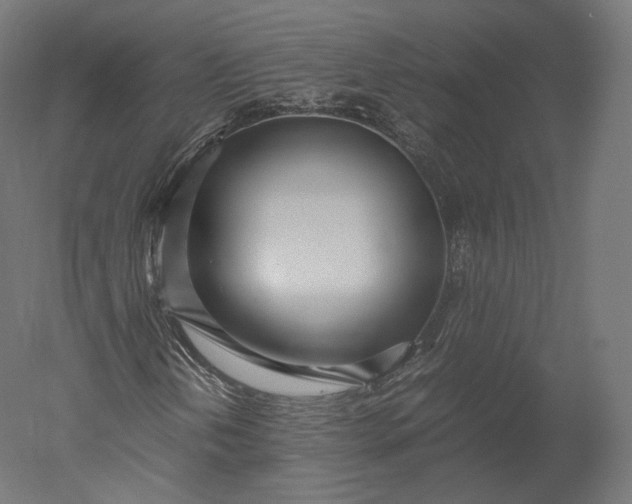 X0000051251202200507011643