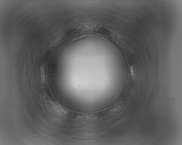 X0000051251203200507011643