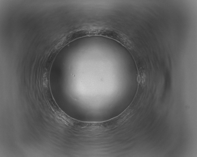 X0000051251204200507011643