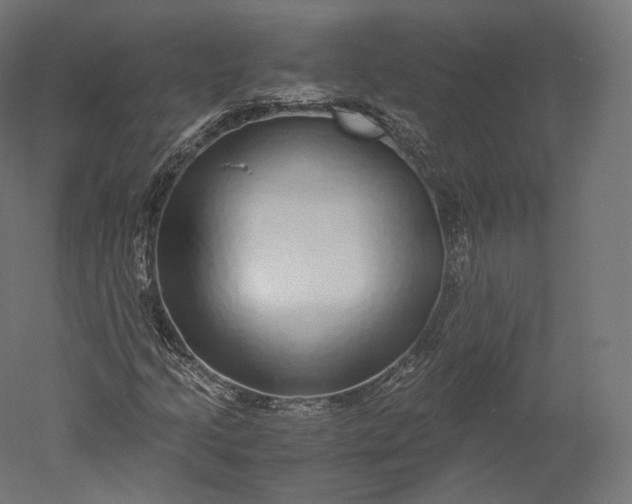 X0000051251205200507011643