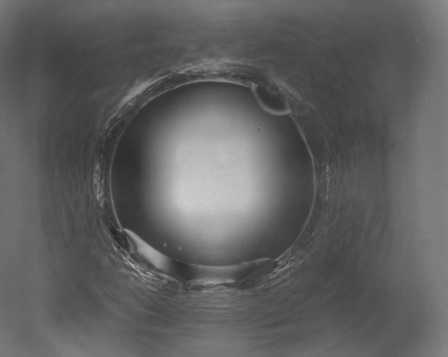 X0000051251206200507011643