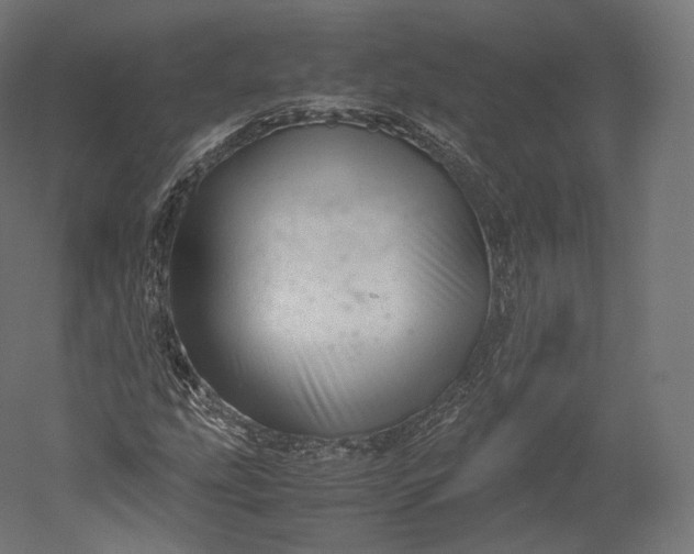 X0000051251207200507011643