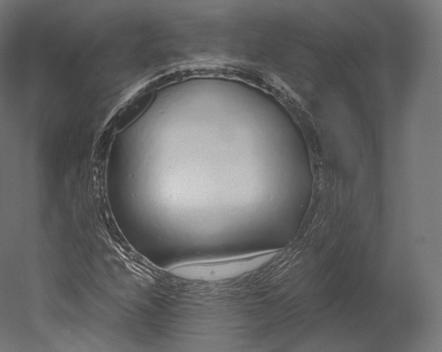 X0000051251208200507011643