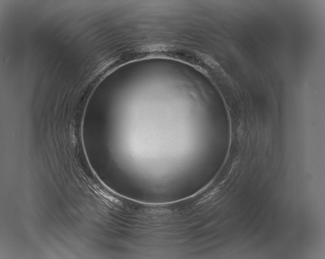 X0000051251209200507011643