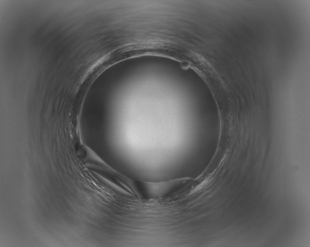 X0000051251210200507011643