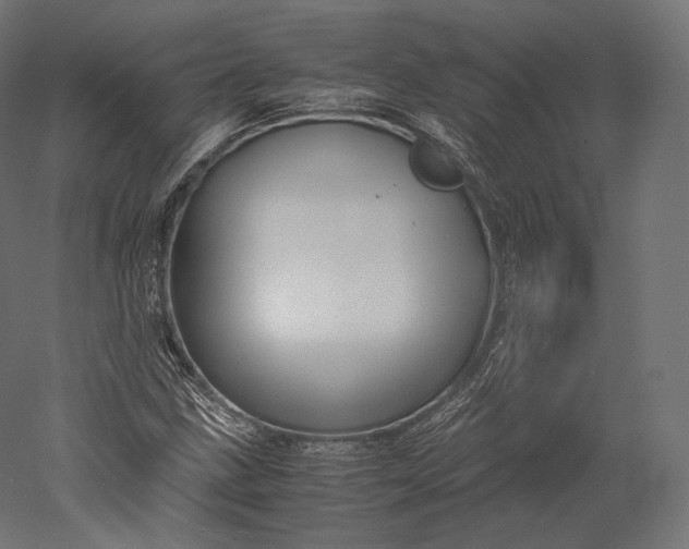 X0000051251211200507011643