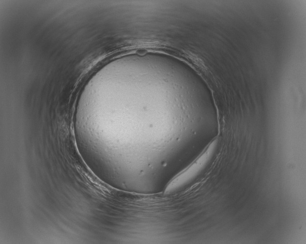 X0000051251212200507011643