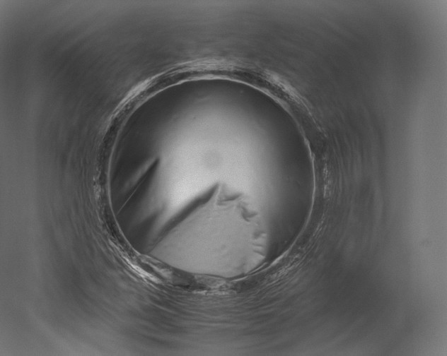 X0000051251213200507011643