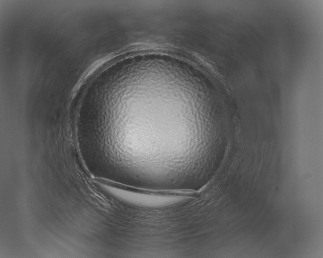 X0000051251215200507011643