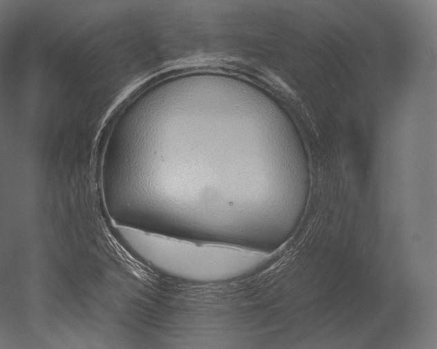 X0000051251216200507011643