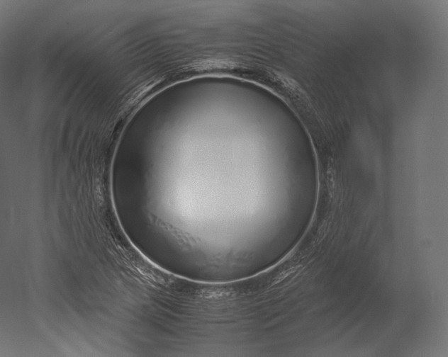 X0000051251217200507011643