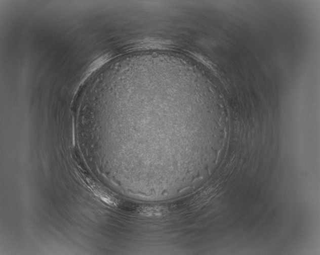 X0000051251219200507011643