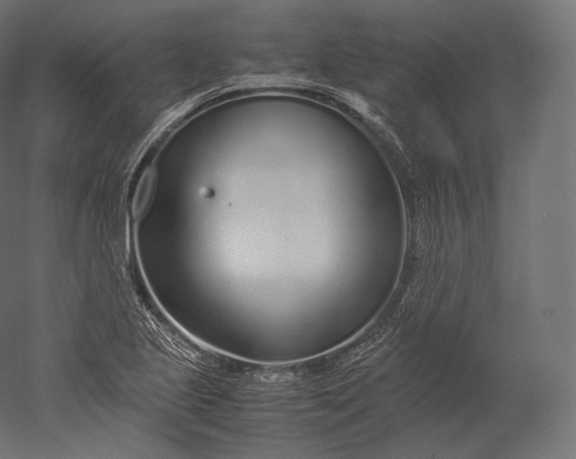 X0000051251221200507011643