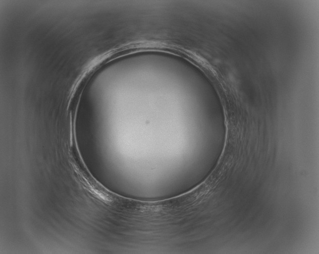 X0000051251223200507011643