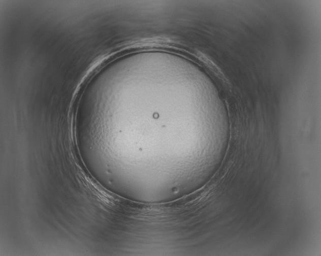 X0000051251224200507011643