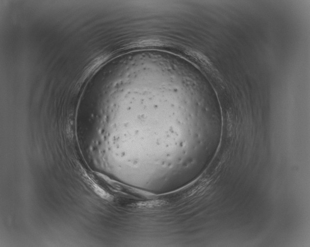 X0000051251225200507011643