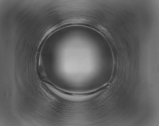 X0000051251226200507011644