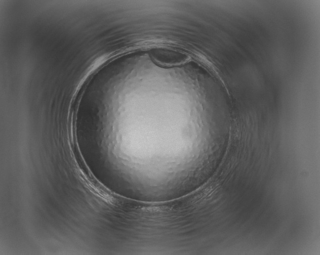 X0000051251227200507011644