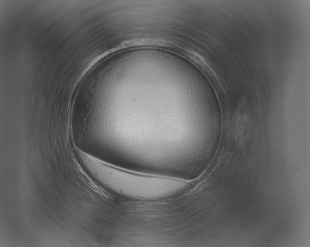 X0000051251228200507011644