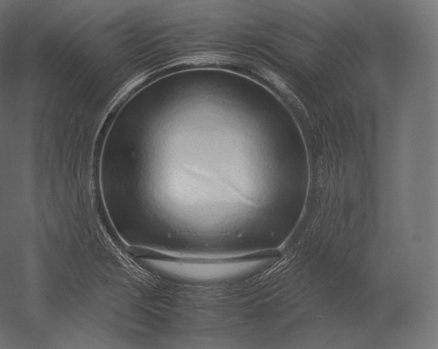 X0000051251229200507011644