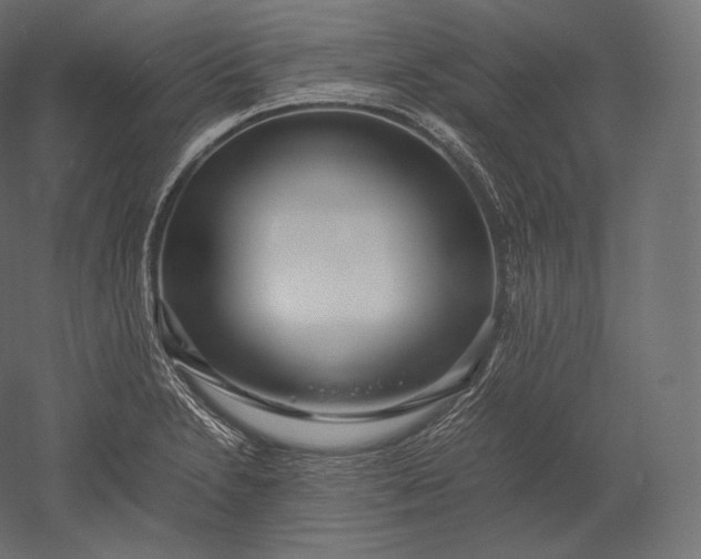 X0000051251230200507011644