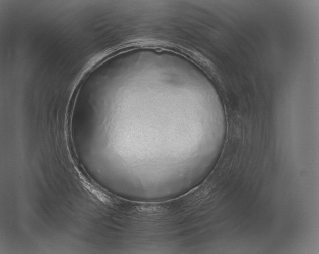 X0000051251231200507011644