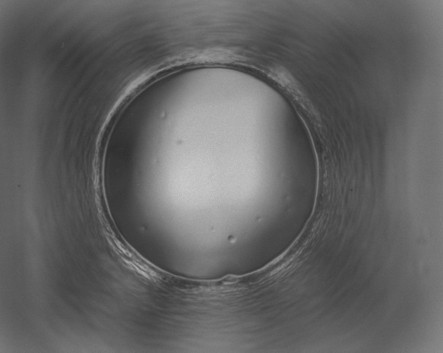 X0000051251232200507011644