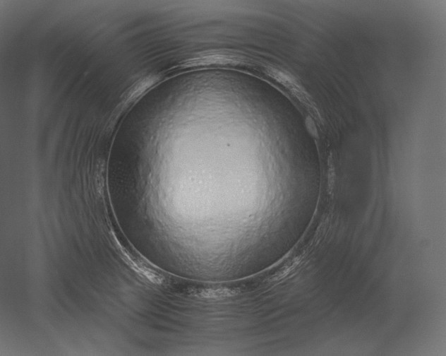 X0000051251233200507011644