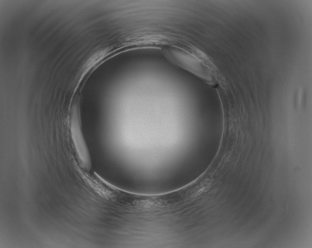 X0000051251234200507011644