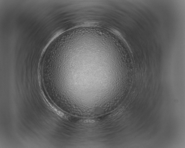 X0000051251235200507011644