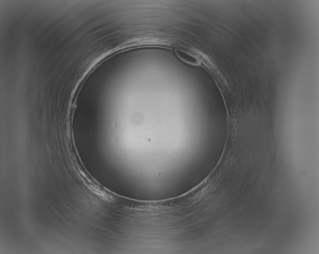 X0000051251236200507011644