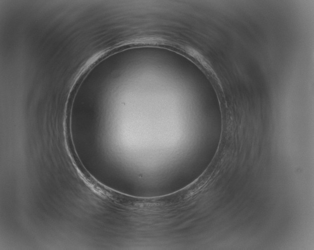 X0000051251237200507011644