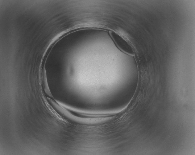 X0000051251238200507011644