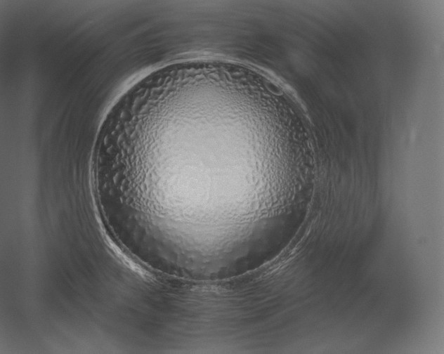 X0000051251239200507011644