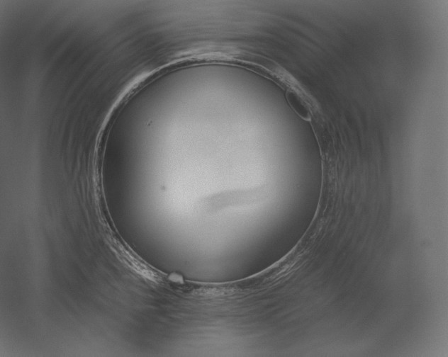 X0000051251240200507011644