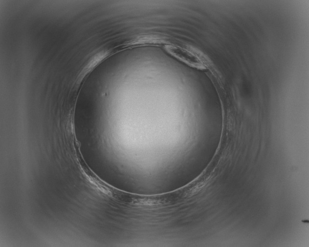 X0000051251241200507011644