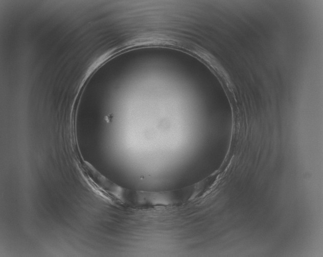 X0000051251242200507011644