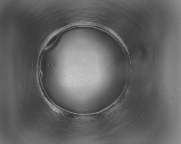 X0000051251245200507011644