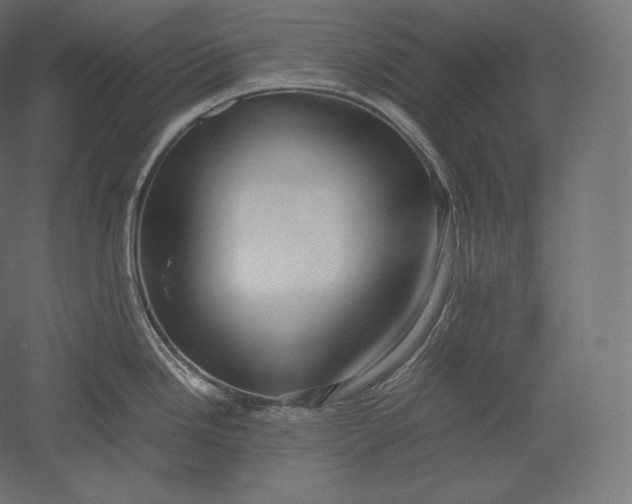 X0000051251246200507011644