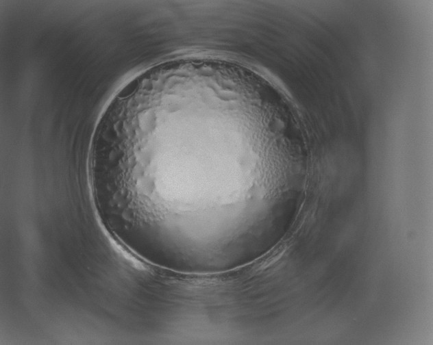 X0000051251247200507011644