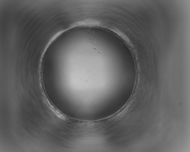 X0000051251248200507011644