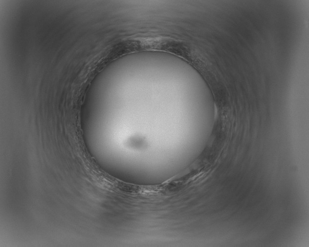 X0000051251249200507011643