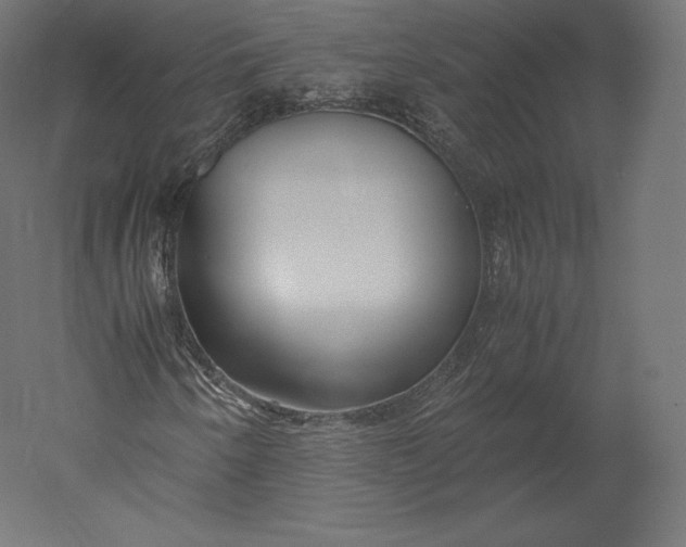 X0000051251250200507011643