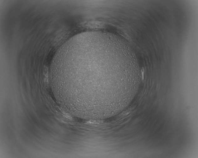 X0000051251251200507011643