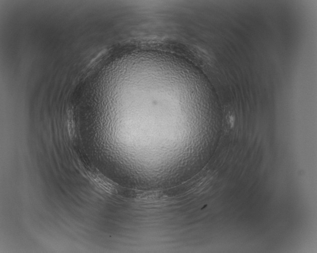 X0000051251252200507011643