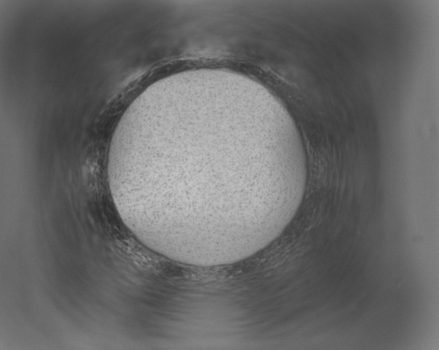 X0000051251254200507011643