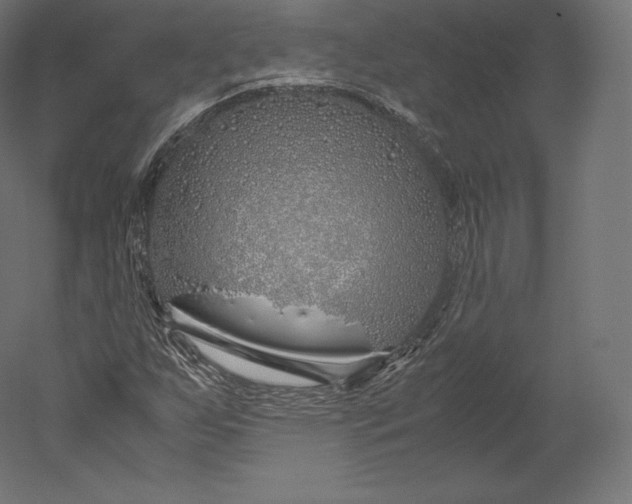 X0000051251255200507011643