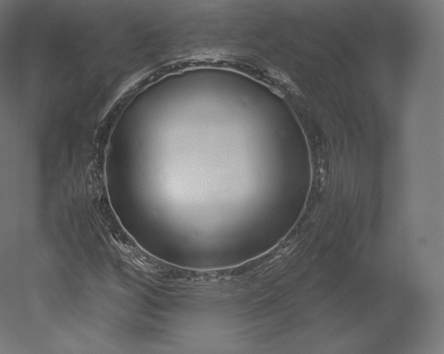 X0000051251256200507011643