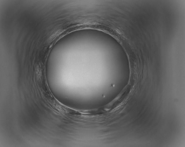 X0000051251257200507011643