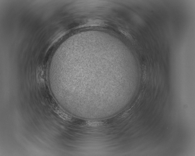 X0000051251258200507011643